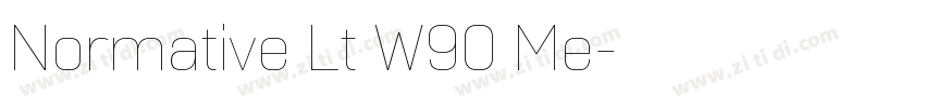 Normative Lt W90 Me字体转换